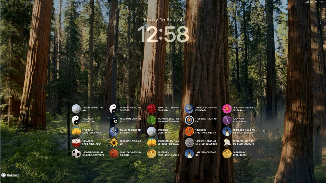 1000 User Account Icons